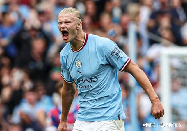 [德甲]第25轮：拜仁慕尼黑2-3波鸿 集锦